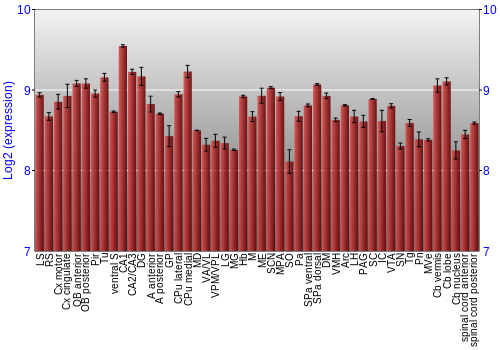 Multi-state expression graph