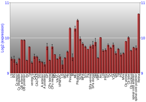 Expression graph