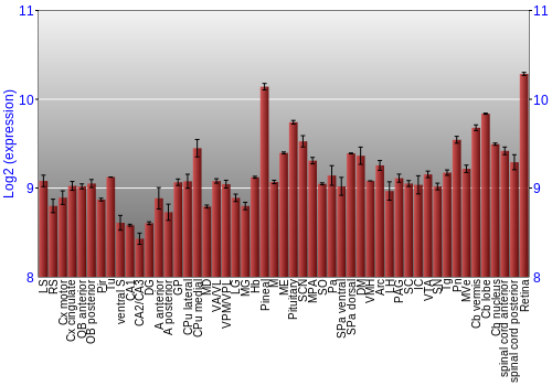 Expression graph
