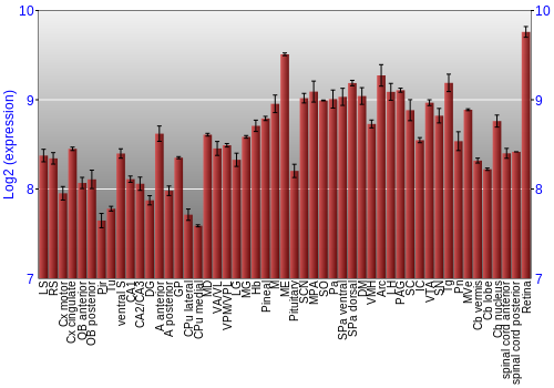 Expression graph