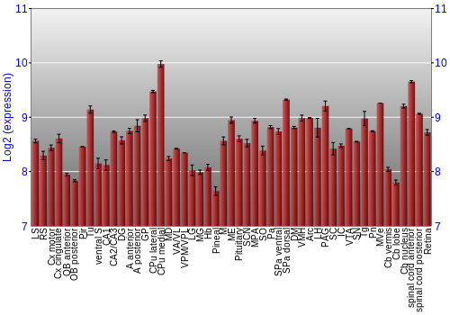 Expression graph