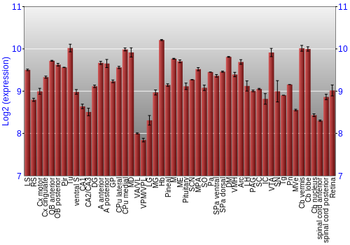 Expression graph