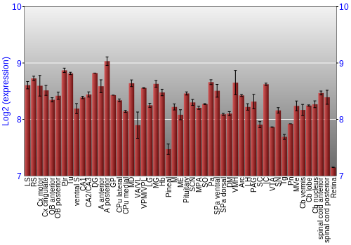 Expression graph