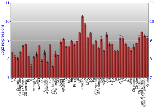 Expression graph
