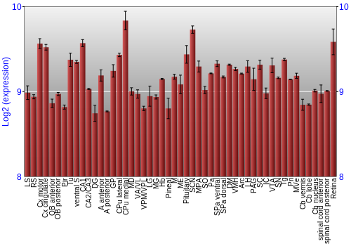 Expression graph