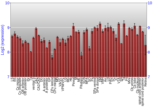 Expression graph