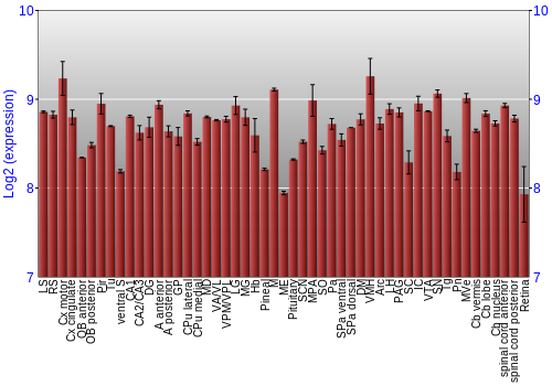 Expression graph