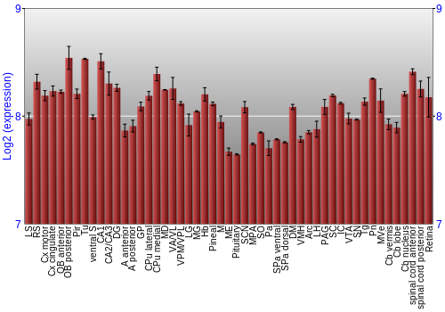 Expression graph