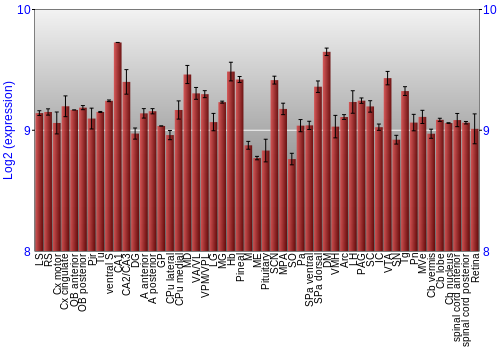 Expression graph