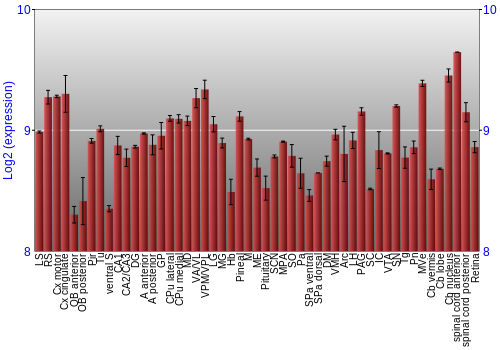 Expression graph