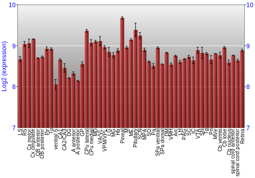Expression graph