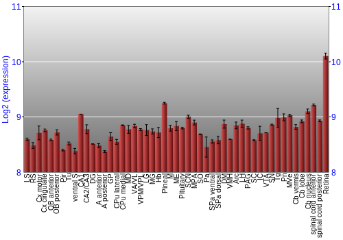 Expression graph