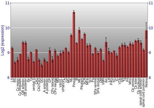 Expression graph