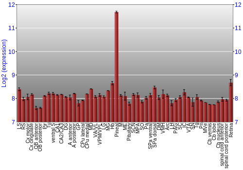 Expression graph