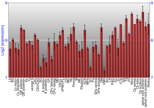 Expression graph