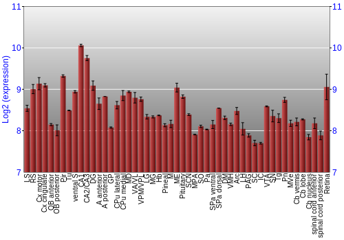 Expression graph