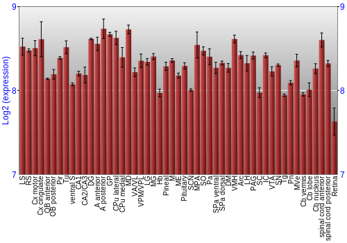 Expression graph