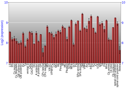 Expression graph