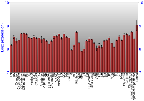 Expression graph