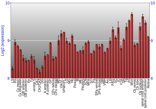 Expression graph