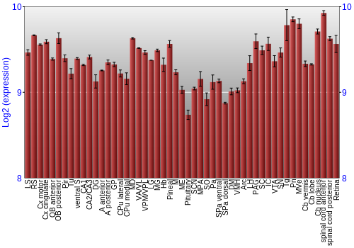 Expression graph