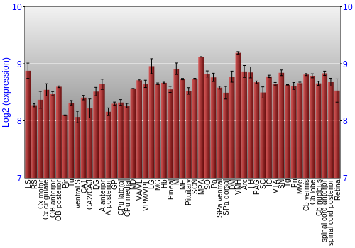 Expression graph