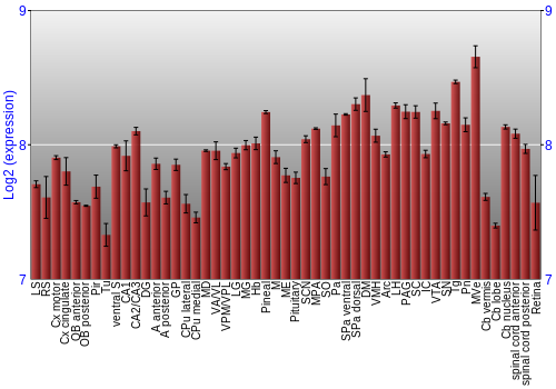 Expression graph
