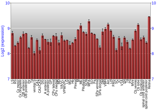 Expression graph