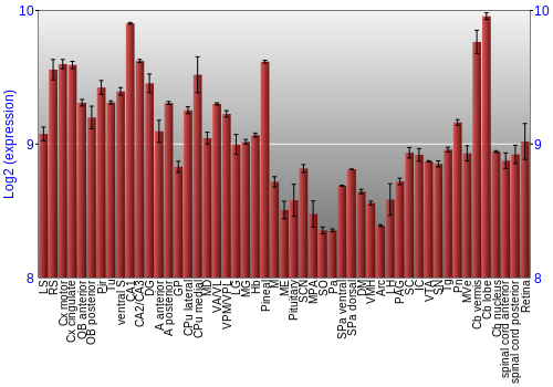 Expression graph