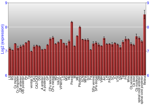 Expression graph