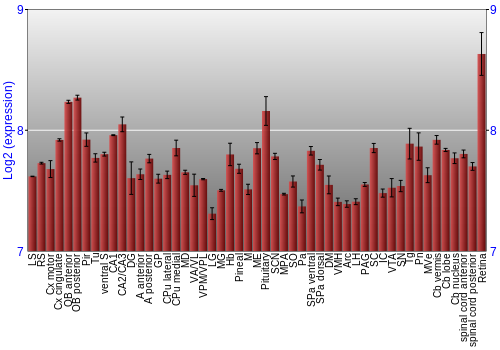 Expression graph