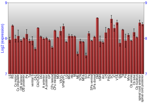 Multi-state expression graph