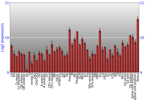 Expression graph