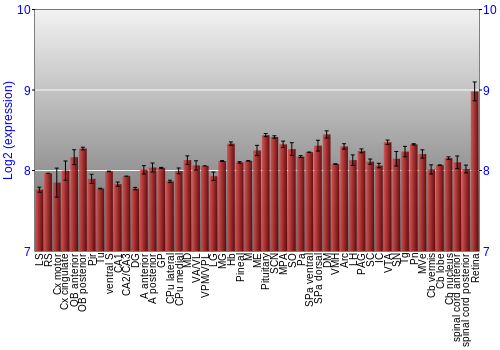 Expression graph
