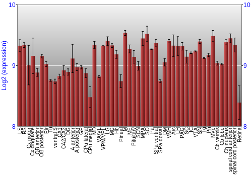 Expression graph