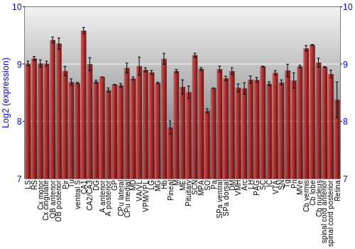 Expression graph