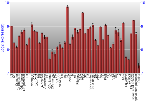 Expression graph