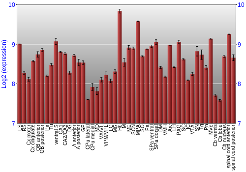 Multi-state expression graph