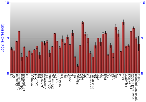 Expression graph