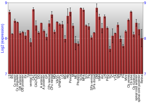 Expression graph
