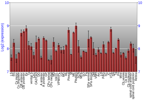 Expression graph