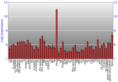 Expression graph