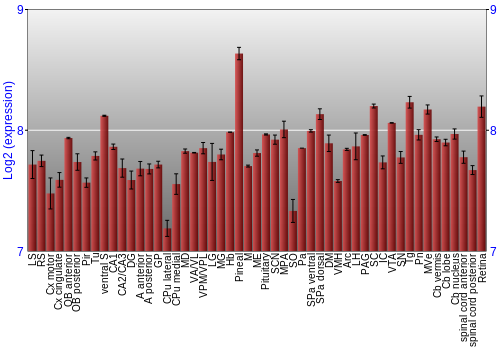 Expression graph