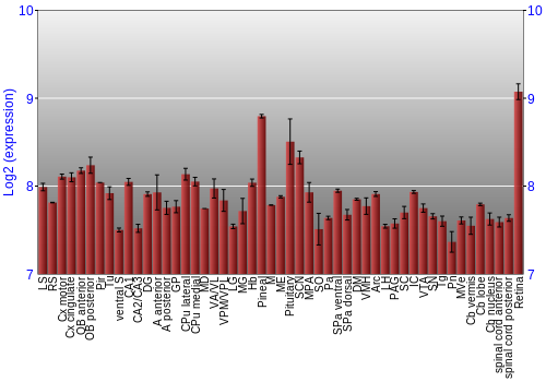 Expression graph
