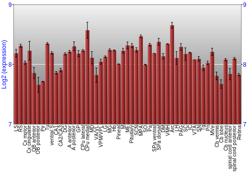 Expression graph