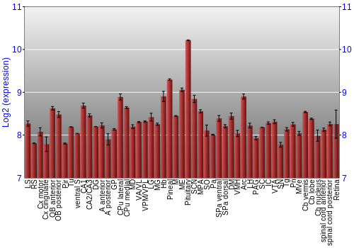 Expression graph