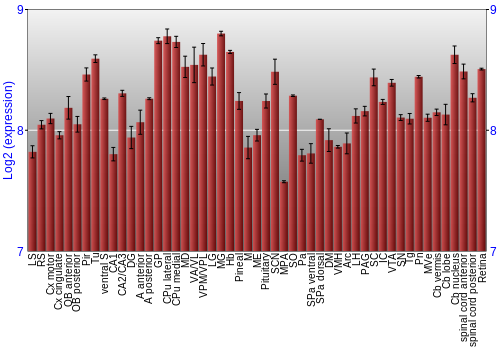Expression graph