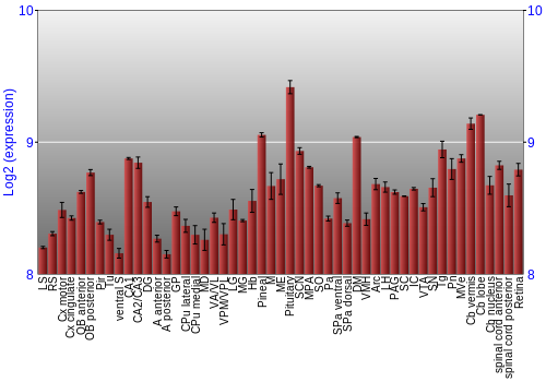 Expression graph