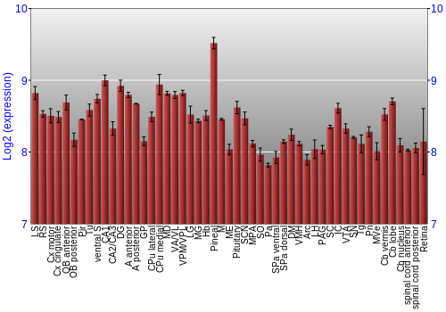 Expression graph