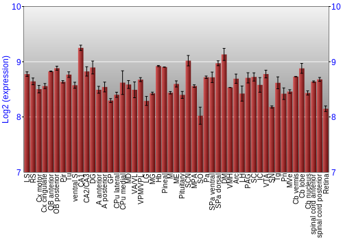 Expression graph